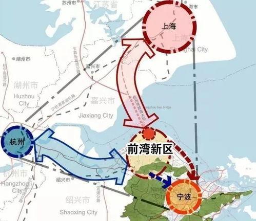 前湾新区爆料事件最新进展,最新进展揭秘真相！”