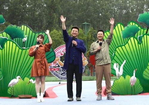 侠岚最新爆料新闻视频播放,神秘剧情揭晓，精彩片段抢先看！