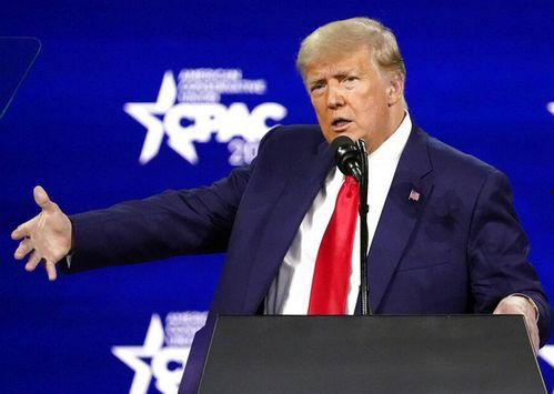 特朗普最新爆料,揭秘政治内幕与惊人真相