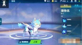 飞车最新宠物爆料