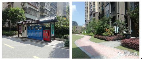 吉碳小区爆料视频最新