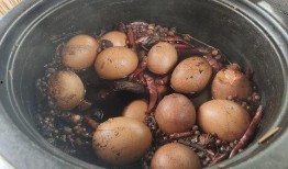 最新卤蛋爆料图片大全大图,揭秘最新卤蛋爆料图片大全大图