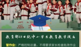 向阳小学爆料视频大全最新,揭秘校园生活精彩瞬间