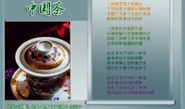 中国茶叶爆料视频最新