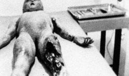 最新新闻爆料外星人