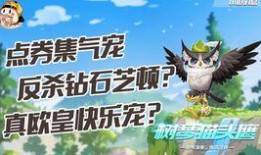 飞车最新宠物爆料