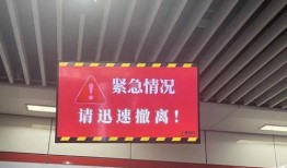 最新爆料网上海,揭秘隐藏在繁华背后的秘密