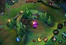 最新的爆料视频在哪看,观看途径全解析