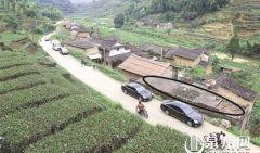 泉州安溪县爆料案件最新,案情揭秘，警方全力侦破