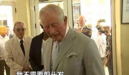查尔斯最新爆料新闻内容,揭秘不为人知的幕后真相