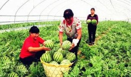 吃瓜最新事件爆料临夏