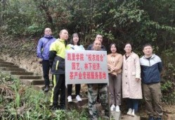 凯里学院爆料事件最新,真相与争议交织的校园风云