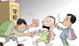 校园暴击爆料案例最新视频,悲剧重演，社会关注教育安全