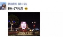 西安琴师最新爆料,古琴传承背后的故事与秘密