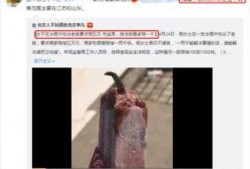 滕州最新爆料事件视频曝光,事件视频曝光，真相究竟如何？