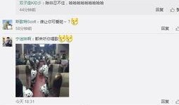 二侠微博爆料最新视频,精彩瞬间不容错过！