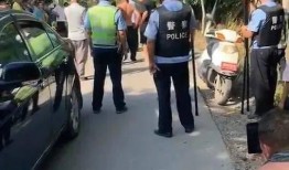 王庄最新爆料事件,揭秘事件背后惊人真相