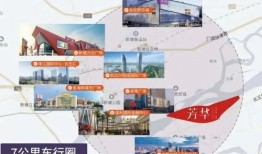 东莞献血爆料最新消息,最新进展与情况梳理