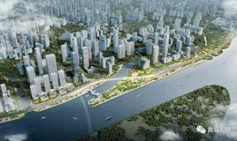 鱼珠最新爆料,揭秘行业内幕，带你走进真实市场风云