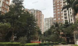 吉碳小区爆料视频最新