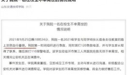 山东最新爆料事件视频大全,揭秘多起社会热点瞬间