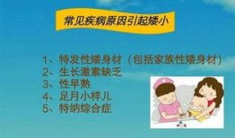 西南医院爆料最新消息,疫情动态与防控措施再升级