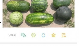 新瓜最新爆料在哪里看,独家渠道带你直击最新热点