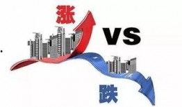 十一合村爆料最新消息,揭秘事件背后惊人真相