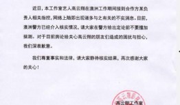 盐城案件爆料最新进展情况,疑云重重，真相渐明