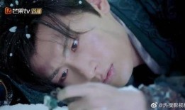 直播成毅爆料最新消息视频,最新动态与幕后故事大公开