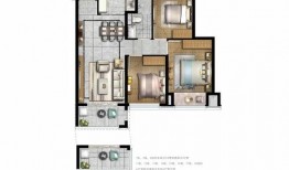 石家庄二院爆料案件最新,揭开医疗纠纷背后的真相