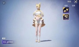 和平精英中转盘最新爆料后续