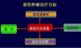 爆料癌症治疗案例最新消息,最新癌症治疗案例揭示革命性疗法