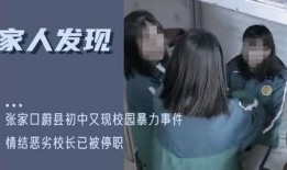 校园暴击爆料案例最新视频,悲剧重演，社会关注教育安全