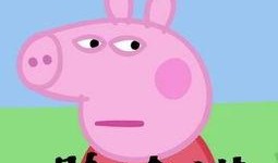 佩琪王者爆料最新消息,神秘事件即将揭晓，真相即将浮出水面！