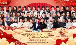 江西卫视春晚最新爆料,精彩节目抢先看，明星阵容大揭秘！