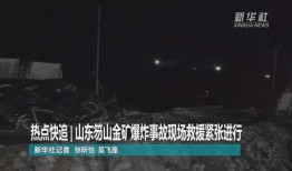 山东事件爆料视频最新,真相与争议交织的真相揭晓