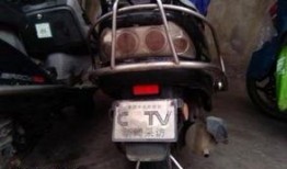 最新悬浮车爆料新闻事件,最新科技突破引发热议