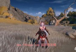 鸣潮内部爆料最新