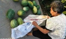 吃瓜最新事件爆料临夏