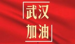 武汉加油最新爆料,抗疫英雄再创辉煌——最新爆料揭秘！