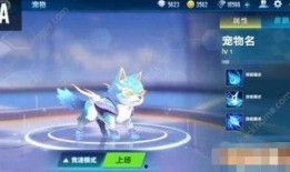 飞车最新宠物爆料