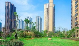 武汉住宅爆料事件最新消息,最新进展揭秘，业主维权真相曝光