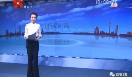 西安琴师最新爆料,古琴传承背后的故事与秘密