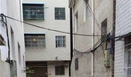 新野房地产爆料最新消息,最新爆料揭示市场新动向